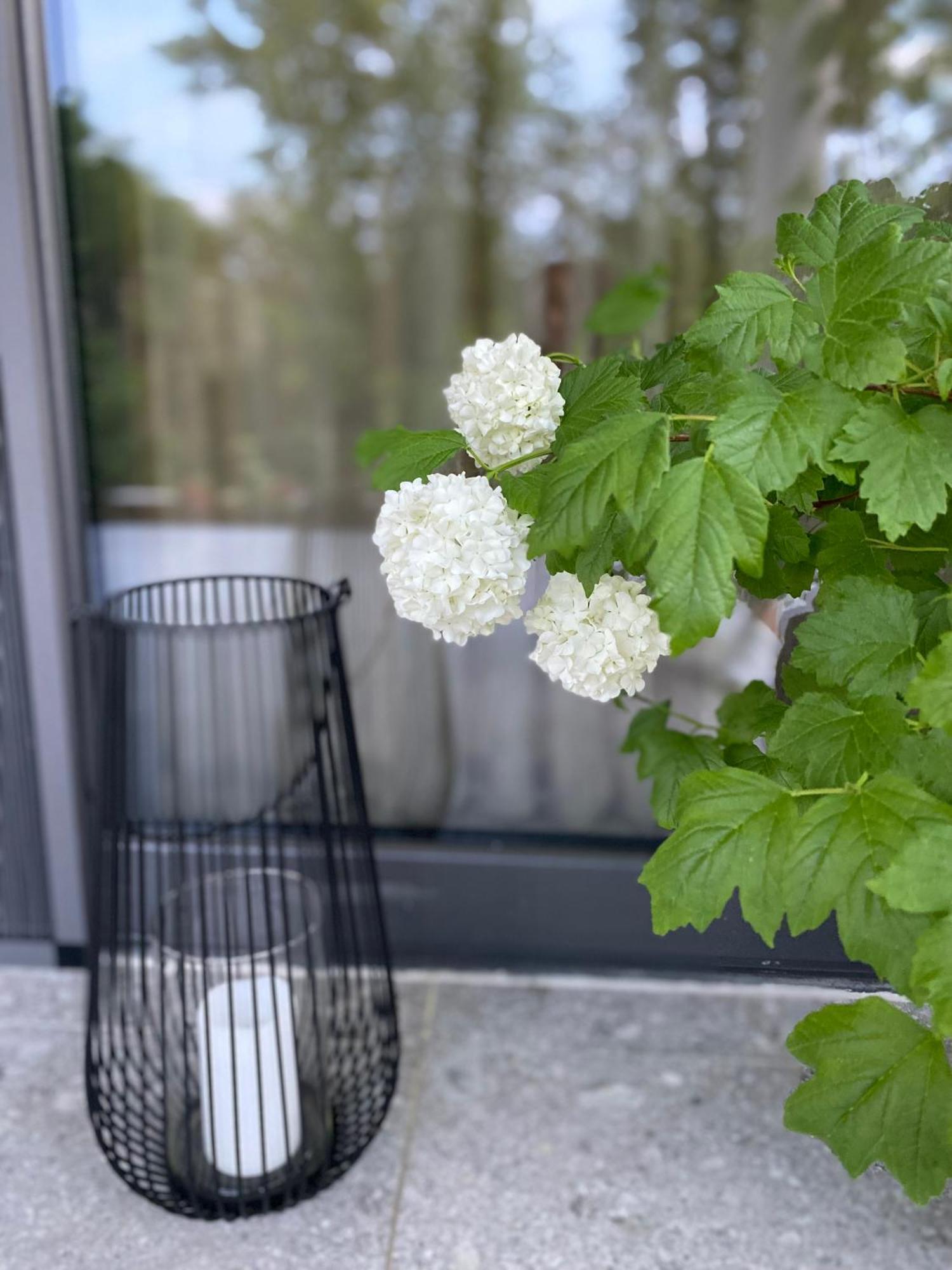 B&B Plitvice Area Natura Seliste Dreznicko Exterior photo
